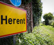 herent